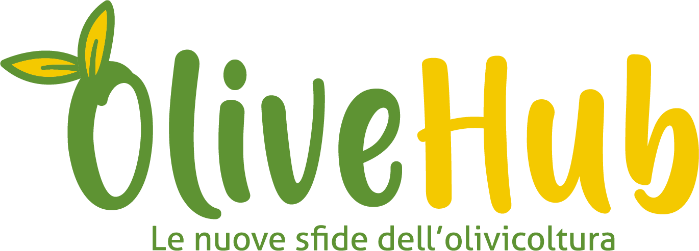 Olive Hub